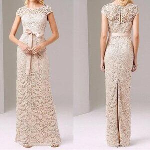 Adrianna Papell Lace Cap Sleeve Illusion Gown